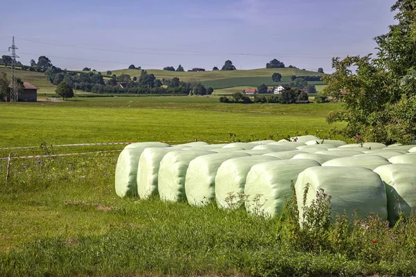 Hooibalen — Stockfoto