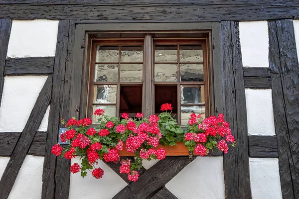 window frame with flower box