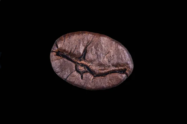 一个单一的豆子大镜头 来展示豆子的细节和特性 黑色背景 — 图库照片
