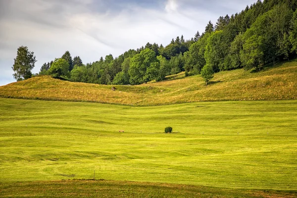 Wiosenny Krajobraz Zielonymi Wzgórzami Samotną Ławką Sercu Niemiec — Zdjęcie stockowe