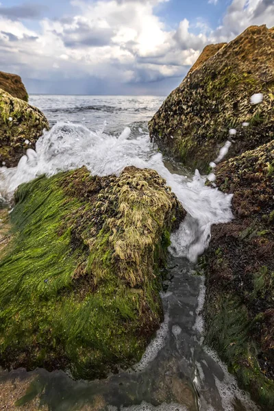 Prachtige Zeegezicht Met Een Dicht Uitzicht Stenen Met Mos Water — Stockfoto