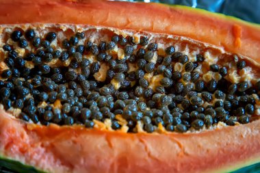 Olgun papayanın yarısı tohumla dolu. Sağlıklı egzotik meyveler. Kapat.