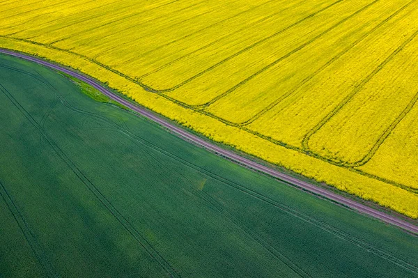 Удивительный Вид Воздуха Поля Рапса Пшеницы Разделенные Дорогой — стоковое фото