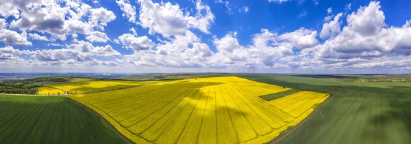 Increíble Panorama Aéreo Desde Dron Campos Amarillos Verdes Concepto Agricultura — Foto de Stock