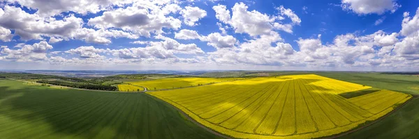Niesamowita Panorama Lotu Ptaka Żółtych Zielonych Pól Koncepcja Rolnictwa Tereny — Zdjęcie stockowe