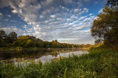 Manzara. Sunrise bir orman Nehri üzerinde. Bulutlu gökyüzü.