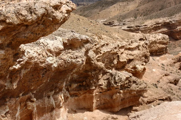 キャニオン粘土、粘土、自然保護区、自然、自然、地質断面図 — ストック写真