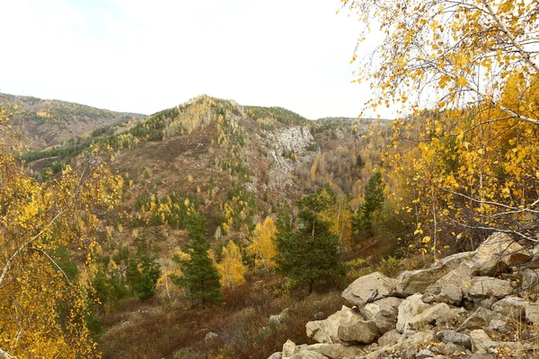 Осенний лес, осень, гора, красота, осенний вид, осень в горах — стоковое фото