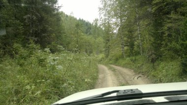 Doğa, manzara, düşmek, flora, ağaçlar, peyzaj, sonbahar manzara, Sonbahar, yaprakları, bitki, yol, orman yolu, kir, dağ yolu, dağ