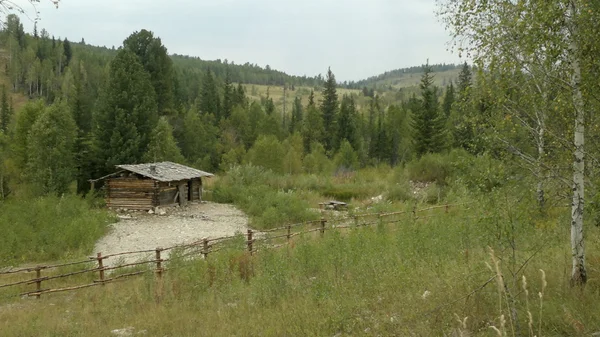 Nature, landscape, scenery, forest, hut, house — стоковое фото