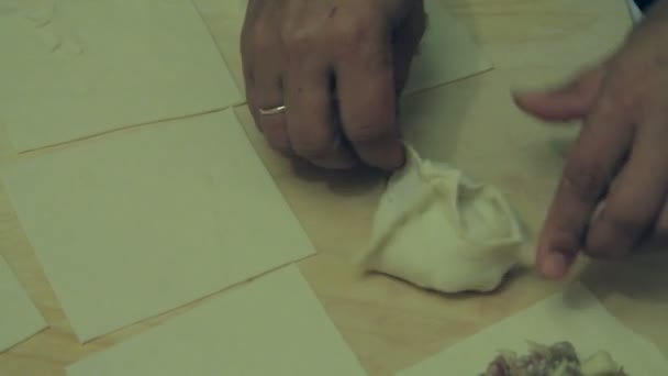 Orientaliska dumplings med malet kött och potatis — Stockvideo