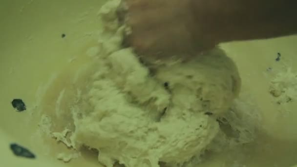 Felnőtt nő kezében dagaszt tésztát. — Stock videók