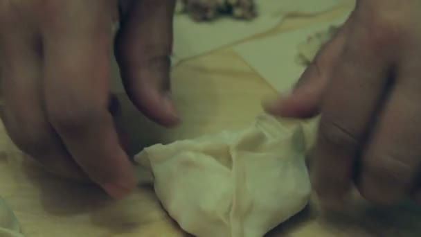 东方饺子与切碎的肉和土豆 — 图库视频影像