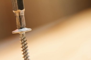 Tornavida vida başı eklenmiş. Üzerinde arka plan bulanık izole makro fotoğrafçılık.