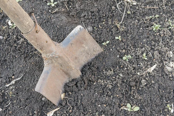 Старая ржавая лопата для рук — стоковое фото