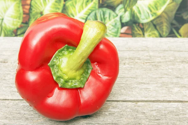 Sweet pepper on wooden table and on green plant background closeup. Rustic lifestyle concept. Copy space. — Stock Photo, Image