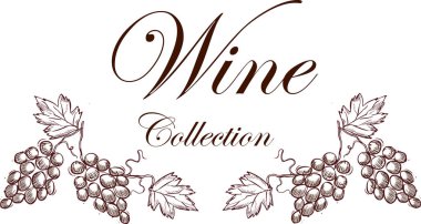 vektör çizim şarap ve şarap yapma