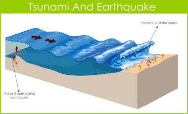 Bir tsunami büyük dalgalar serisidir.