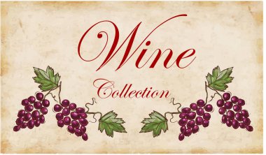 vektör çizim şarap ve şarap yapma