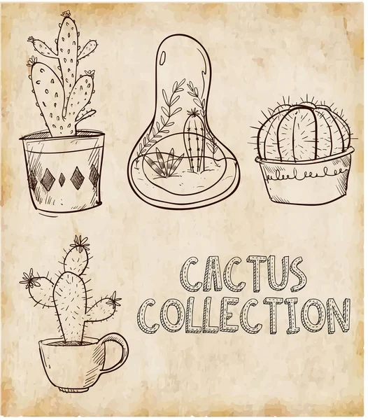 Векторная иллюстрация цветка кактуса, изолированный кактус — стоковый вектор