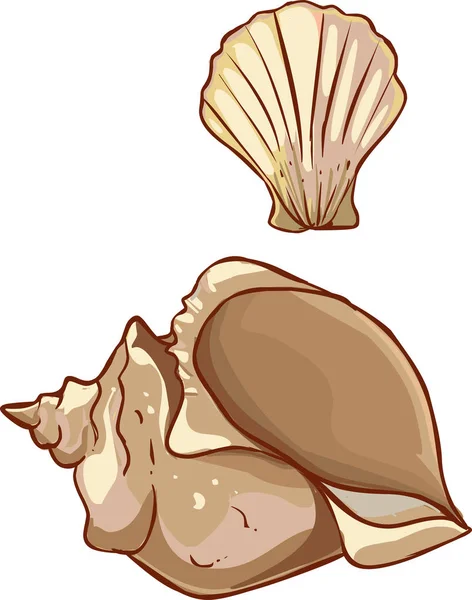 Vector illustration Sea shell from one side — Stock Vector