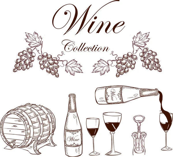 Ilustración vectorial de una colección de vinos — Vector de stock