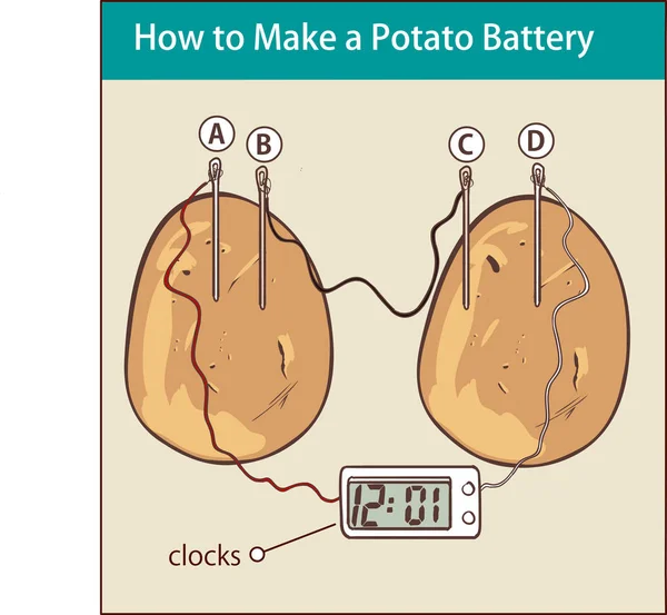 Hvordan man laver en kartoffel batteri vektor illustration – Stock-vektor