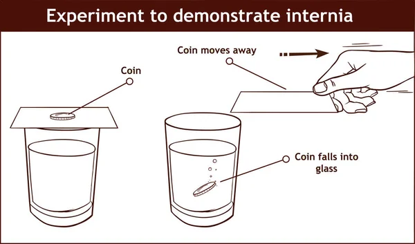 Vector - traagheid voorbeeld ons dagelijks leven infographic diagram exp — Stockvector