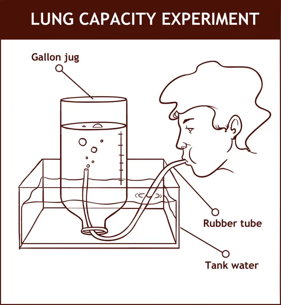 Ilustración vectorial de un experimento de capacidad pulmonar — Archivo Imágenes Vectoriales