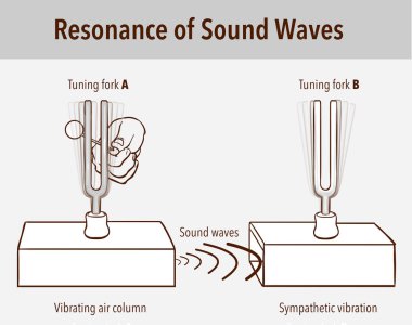 Tuning Fork resonance experiment. When one tuning fork is struck clipart