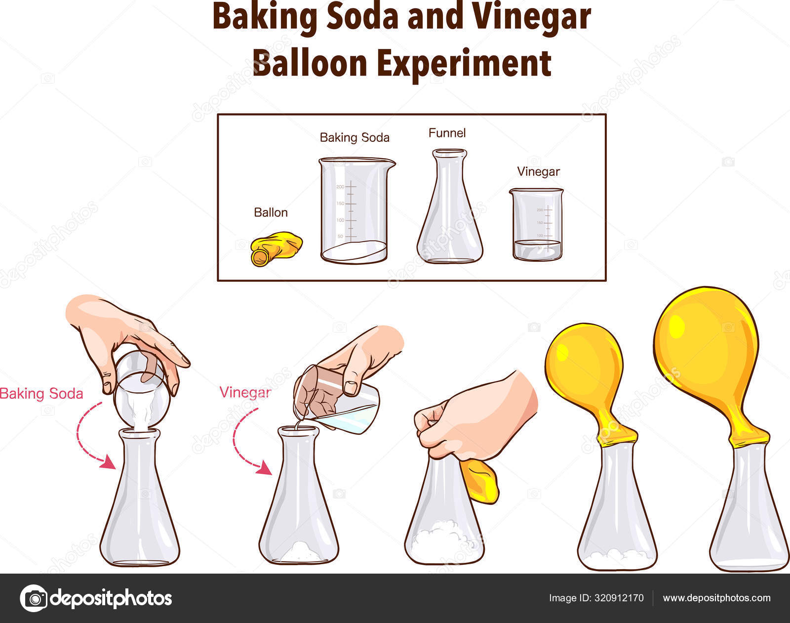 Baking Soda And Vinegar Balloon Experiment Science Vector Image By C Corbacserdar Gmail Com Vector Stock