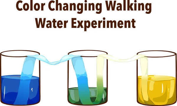Experimento Agua Arcoíris Caminando Clase Concepto Ciencia Vasos Fila Con — Vector de stock