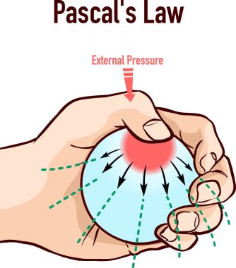  Pascals Law infographic diagram showing an example of body clipart
