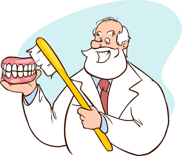 Dentista caucásico mostrando un modelo de mandíbula dental y un cepillo de dientes. o — Vector de stock