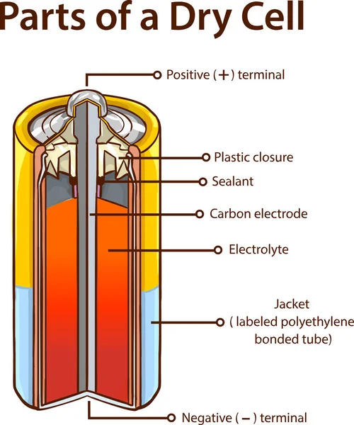 Egy száraz cellás akkumulátor részei. készletillusztráció — Stock Vector