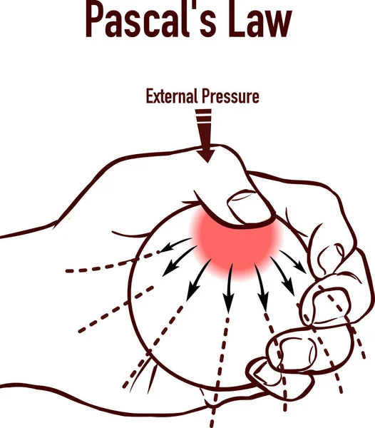 Γραφικό διάγραμμα Pascals Law που δείχνει ένα παράδειγμα του σώματος — Διανυσματικό Αρχείο