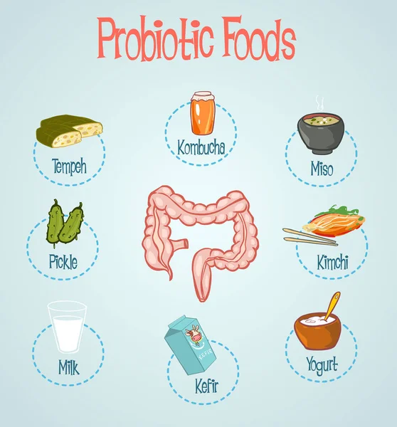 Probiótico Alimentos Mão Desenhada Vector Ilustração — Vetor de Stock