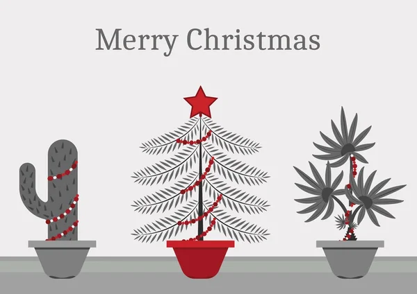 Noel zamanında bir Noel ağacı - bir kaktüs, Ladin ve palmiye ağacı Noel süsleri ve ışıklar her bitkidir