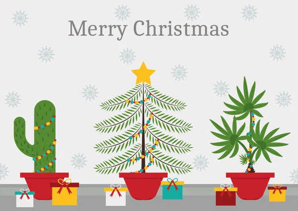 Noel zamanında bir Noel ağacı - bir kaktüs, Ladin ve palmiye ağacı Noel süsleri ve ışıklar her bitkidir