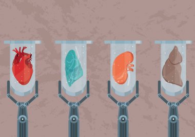 Sentetik laboratuvar yetiştirilen insan organları. Tıp ve nakli geleceği. Kalp, böbrek, akciğer ve Hépar ile test tüpleri