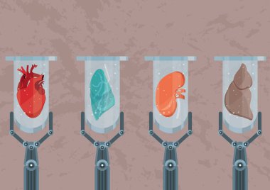 Synthetic lab-grown human organs. Future of medicine and transplantation. Test tubes with heart, kidney, lung and hepar clipart