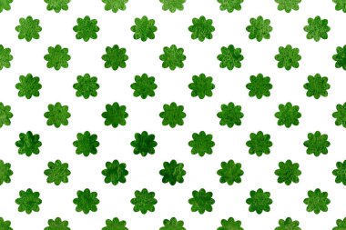 Suluboya çiçek deseni.