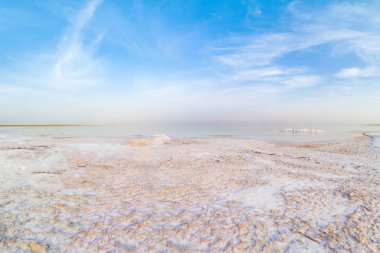 Ölü Deniz'in tuzlu sahil.