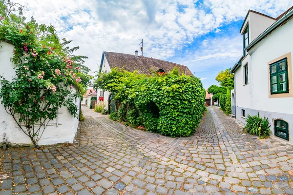 Typiska kullerstensgata i charmiga lilla staden Szentendre. — Stockfoto