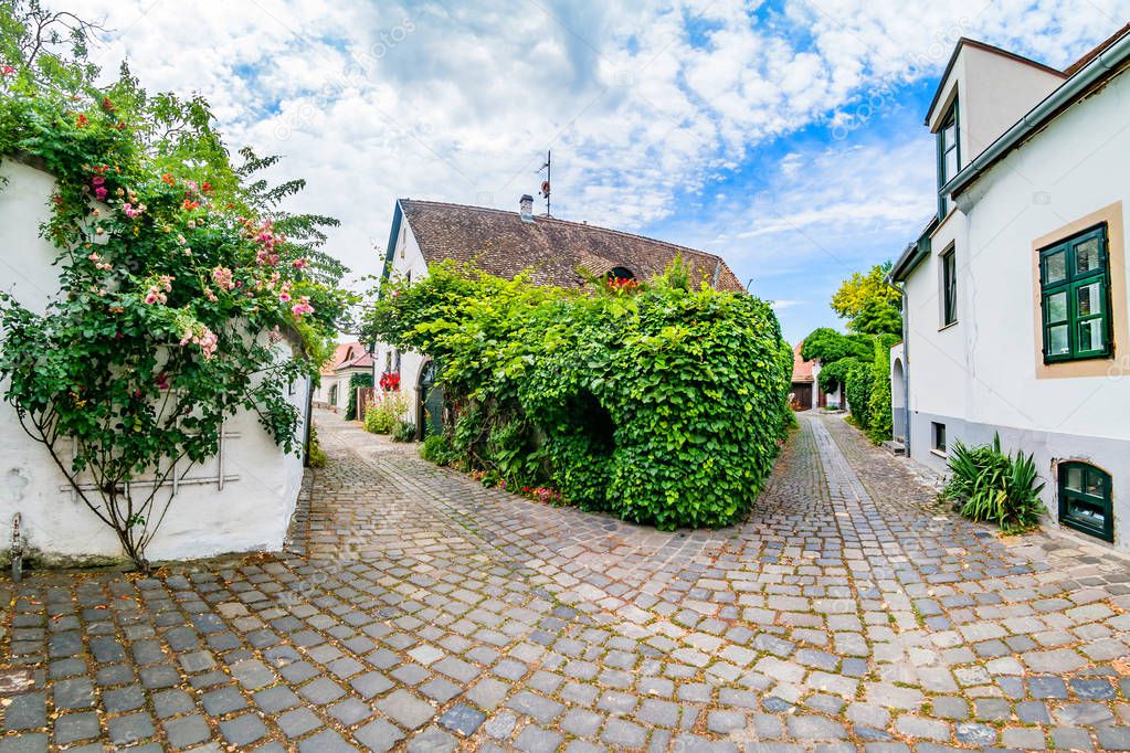 Typical cobbled street of charming little town Szentendre.