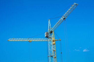 Mavi gökyüzüne karşı iki Vinçler.