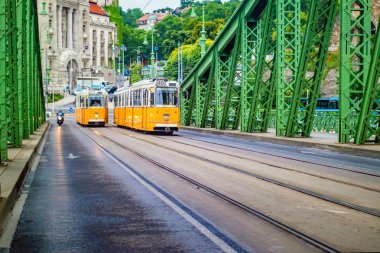 Özgürlük Köprüsü ve sarı tren Budapeşte '.