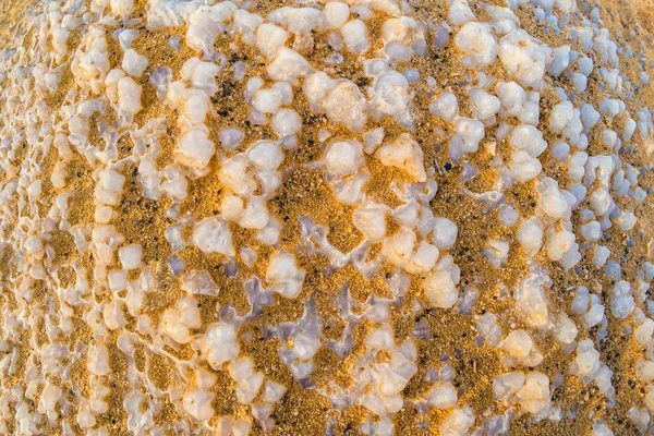 Sel naturel dans la mer Morte — Photo