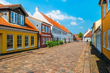 Danimarka 'nın Odense kentindeki renkli geleneksel evler