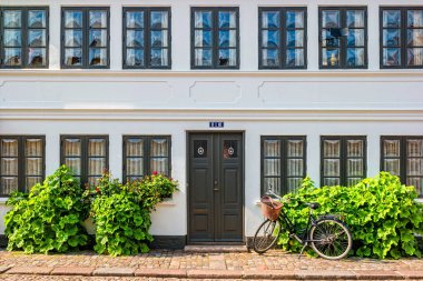 Danimarka 'nın Odense kentindeki renkli geleneksel evler